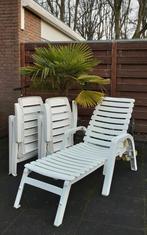 Ligstoel ligbed strandstoel incl 2 Hartman standenstoelen, Tuin en Terras, Ophalen