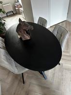 Eettafel met stoelen, Ophalen, 50 tot 100 cm, Zo goed als nieuw, 150 tot 200 cm