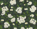 Behang AS Creation madeliefjes 95932-1 vliesbehang, Ophalen of Verzenden, Minder dan 10 m², Wit