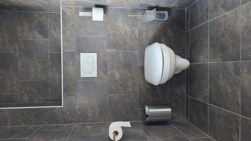 Toilet, douchedeur, wandmeubel, radiator, Doe-het-zelf en Verbouw, Sanitair, Zo goed als nieuw, Toilet, Ophalen of Verzenden