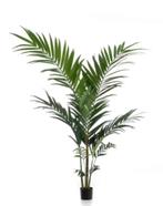 kunstpalm kentia 150cm, Ophalen of Verzenden, Nieuw