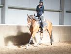 Les; rijden, grondwerk, longeren, natural horsemanship, Diensten en Vakmensen, Dieren | Paarden | Verzorging, Oppas en Les