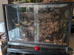 Terrarium 80x40x50 opknappertje €35, Ophalen, Zo goed als nieuw, Terrarium of Paludarium