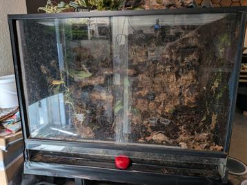 Terrarium 80x40x50 opknappertje €35 beschikbaar voor biedingen