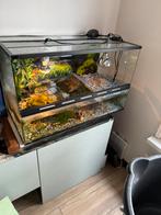 Schilpadden aquarium, Ophalen, Gebruikt, Leeg aquarium