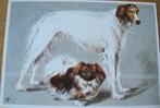 voor het kind - honden - Barzoi en Pekinees - 1973 - nieuw, Verzenden, 1960 tot 1980, Ongelopen, Overige thema's