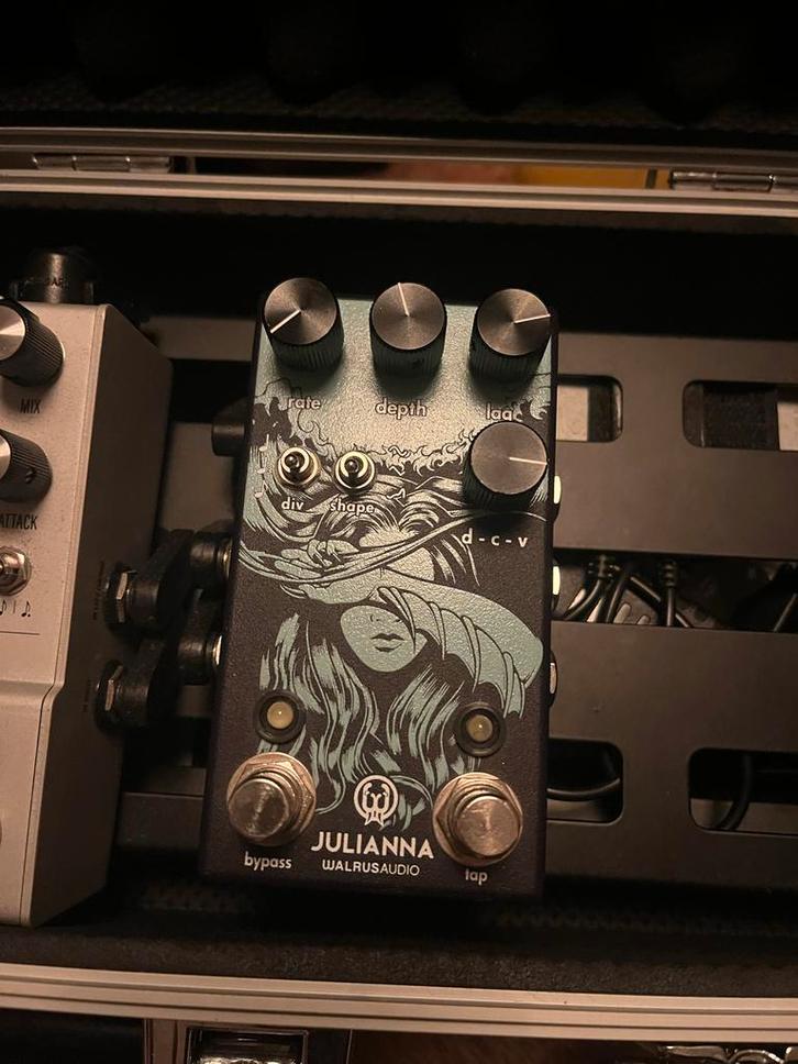 Walrus Audio Julianna Chorus - Goede Staat!, Muziek en Instrumenten, Effecten, Zo goed als nieuw, Chorus, Ophalen of Verzenden