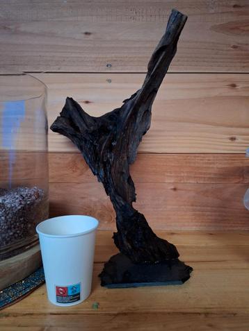 Kienhout beschikbaar voor biedingen