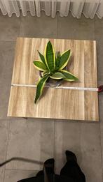 Houten bijzettafel, Huis en Inrichting, Tafels | Bijzettafels, Ophalen, Minder dan 45 cm, Vierkant, Nieuw