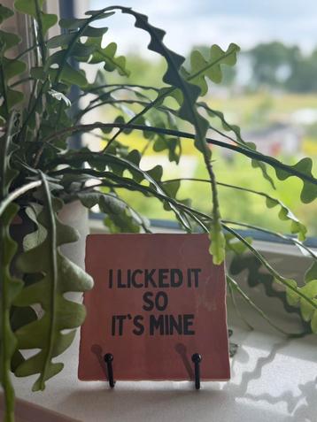 Tegeltje I licked it so it’s mine incl. houder beschikbaar voor biedingen