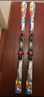 Ski's, Ophalen of Verzenden, Gebruikt, 160 tot 180 cm, Ski's