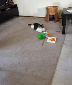 vloerkleed for sale (cat not included!), Ophalen, Gebruikt, 100 tot 150 cm, Beige