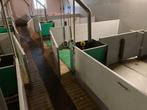 Biggenstal, Dieren en Toebehoren, Ophalen, Gebruikt