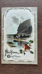 Nieuwjaarsgroet. Reliëf. Roodborstje, hulst. Zee,bergen, Ophalen of Verzenden, Voor 1920, Overige thema's