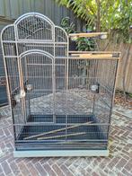 Vogelkooi/ papegaaienkooi  +/- 155x106x66, Dieren en Toebehoren, Ophalen, Gebruikt, Metaal, Vogelkooi