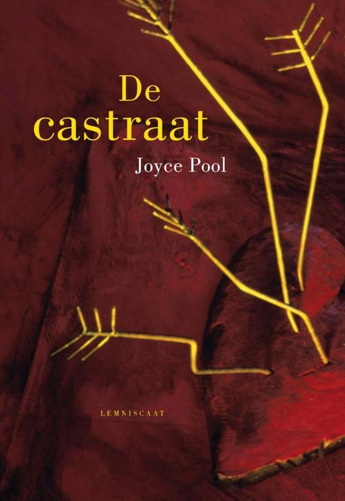 De castraat - Joyce Pool, Boeken, Kinderboeken | Jeugd | 13 jaar en ouder, Nieuw, Fictie, Ophalen of Verzenden