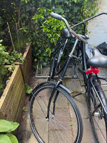 Mooi fiets beschikbaar voor biedingen