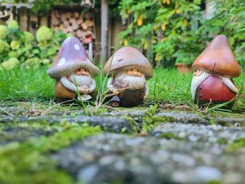 Herfst/Kerstdecoratie. beschikbaar voor biedingen