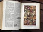 Encyclopedie, Boeken, Encyclopedieën, Gelezen, Ophalen of Verzenden, Los deel, Algemeen