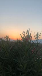 Ik ben op zoek naar een kamer in Vlaardingen.