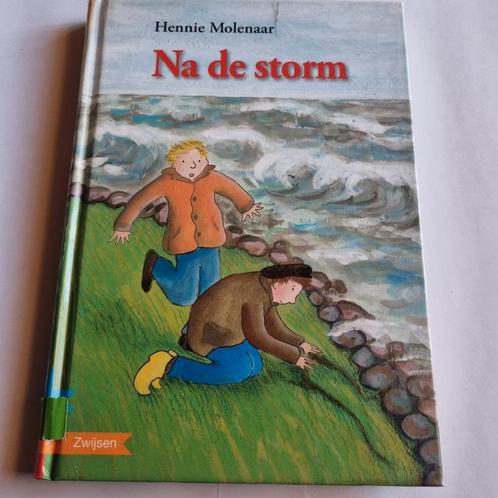 Hennie Molenaar - Na de storm - familie : historie AVI E7, Boeken, Kinderboeken | Jeugd | 10 tot 12 jaar, Gelezen, Ophalen of Verzenden