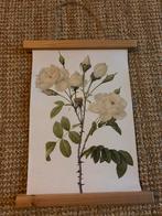 Botanische print met rozen, Ophalen of Verzenden, Zo goed als nieuw, Bord
