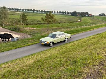 Mercedes-Benz Mercedes 1978 Groen beschikbaar voor biedingen