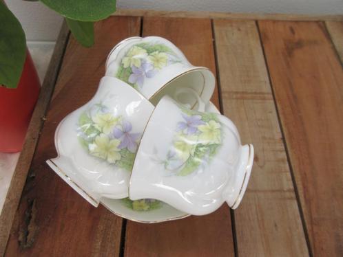 Cambridge Garden Collection Fine Bone China, Huis en Inrichting, Keuken | Servies, Zo goed als nieuw, Kop(pen) en/of Schotel(s)