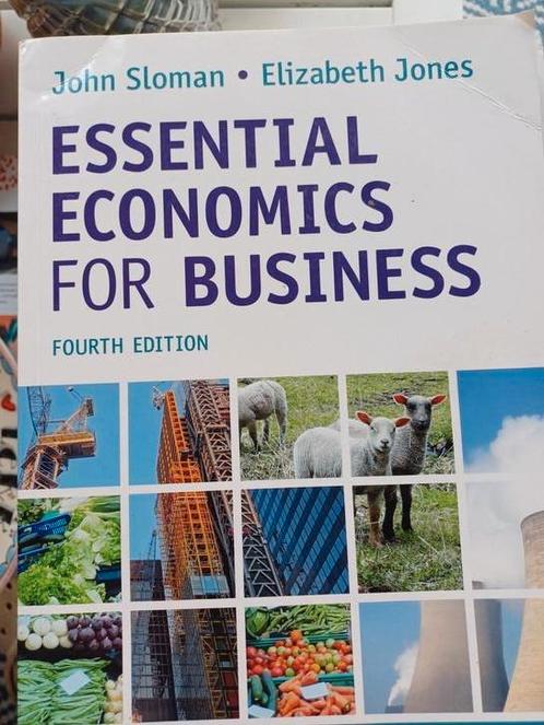 ESSENTIAL  ECONOMICS, Boeken, Schoolboeken, Zo goed als nieuw, Overige niveaus, Ophalen of Verzenden