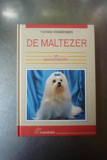De Maltezer als gezelschapsdier - Yvonne Krabbenbos beschikbaar voor biedingen