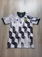 ADO Den Haag Escher shirt, Maat XL, Ophalen of Verzenden, Zo goed als nieuw, Shirt