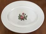 "Wedgwood Moss Rose" Grote Platte Ovale Schaal Nieuw, Nieuw, Ophalen of Verzenden, Schaal of Schalen, Overige stijlen