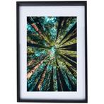 Natuur Poster bomen met Zwarte Lijst, Ophalen of Verzenden, Zo goed als nieuw, Overige materialen, Minder dan 50 cm