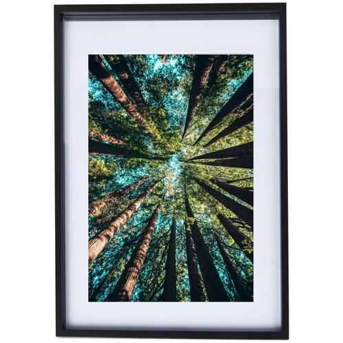 Natuur Poster bomen met Zwarte Lijst, Huis en Inrichting, Woonaccessoires | Lijsten, Zo goed als nieuw, Minder dan 50 cm, Overige materialen