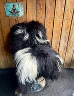SALE IJslandse Schapenvachten vanaf 49,95, Verzenden, Nieuw
