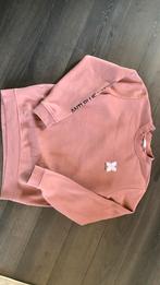 Zgan anti blue oud roze sweater XL, Ophalen of Verzenden, Zo goed als nieuw, Maat 56/58 (XL), Roze