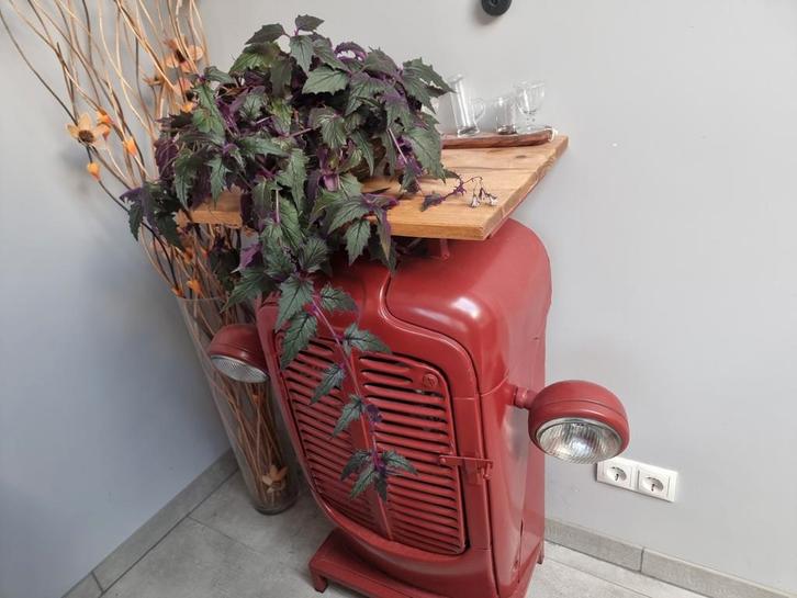 Unieke Tractor Kast, Huis en Inrichting, Kasten | Dressoirs, Gebruikt, 50 tot 100 cm, 25 tot 50 cm, Met deur(en), Met plank(en)