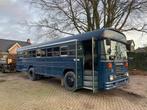 Blue bird Amerikaanse school bus camper of tiny house, Auto's, Vrachtwagens, Diesel, Particulier, Te koop, BTW verrekenbaar