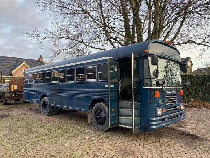 Blue bird Amerikaanse school bus camper of tiny house, Auto's, Vrachtwagens, Particulier, Overige merken, Diesel, Automaat, BTW verrekenbaar