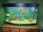 Aquarium Juwel vision 180, Dieren en Toebehoren, Ophalen, Gebruikt, Leeg aquarium