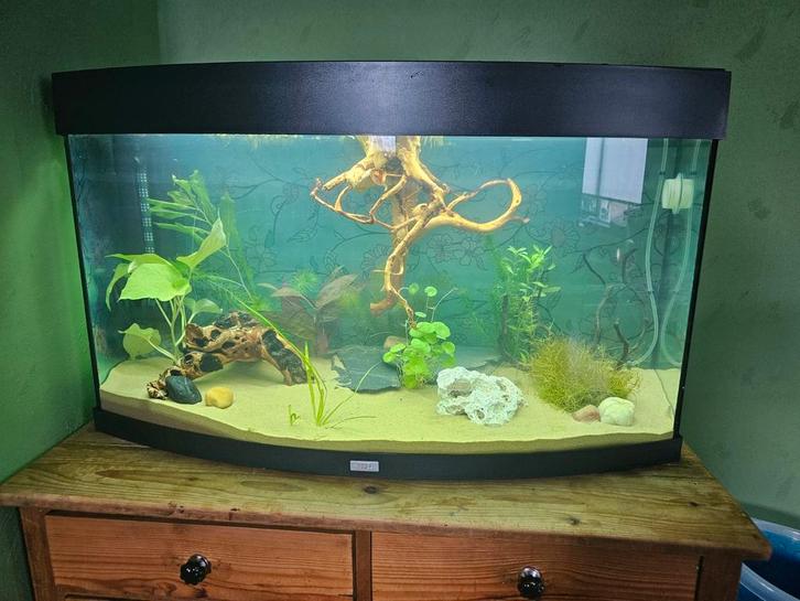Aquarium Juwel vision 180, Dieren en Toebehoren, Vissen | Aquaria en Toebehoren, Gebruikt, Leeg aquarium, Ophalen