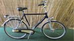 2220 Gazelle Orange Xtra