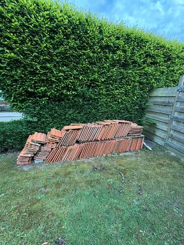 200 vlakke mulderpannen  beschikbaar voor biedingen