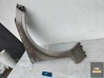 RENAULT CLIO 4 RECHTERVOORVLEUGEL, Ophalen of Verzenden, Gebruikt, Renault