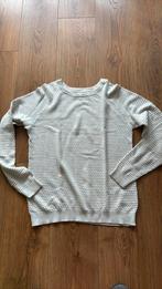 Trui Bien Bleu, Ophalen of Verzenden, Zo goed als nieuw, Maat 48/50 (M), Blauw