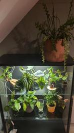 Ikea Rudsta, Ophalen, Zo goed als nieuw, 25 tot 50 cm, Minder dan 100 cm
