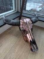 Martino Azzuro Skull Cobra, Ophalen