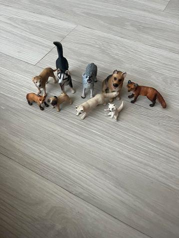 Schleich honden beschikbaar voor biedingen