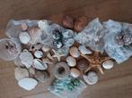 Schelpen en aanverwante artikelen, Ophalen of Verzenden, Gebruikt, Overige soorten, Overige typen