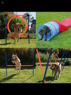 Agility set, Dieren en Toebehoren, Ophalen, Zo goed als nieuw, Intelligentiespeelgoed